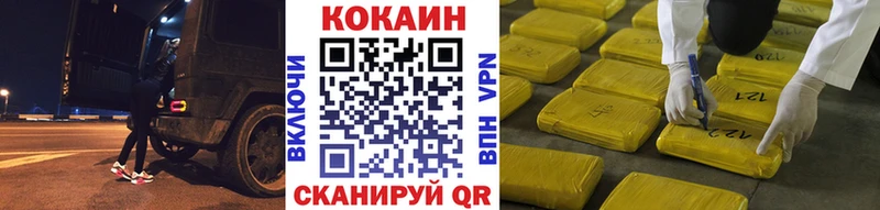 Купить закладки  Гвардейск  COCAIN Fish Scale 