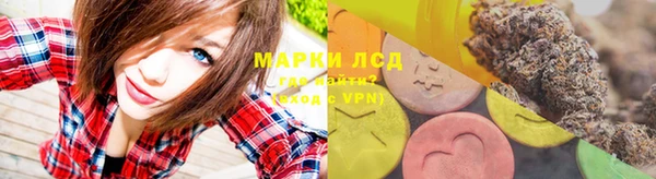 шишки Костерёво