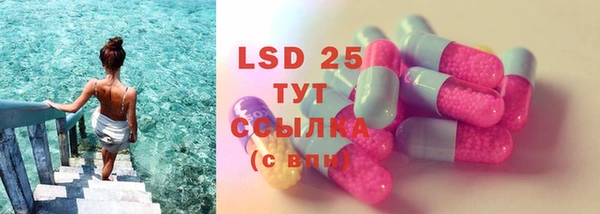 PSILOCYBIN Краснослободск