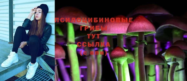PSILOCYBIN Краснослободск