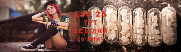 PSILOCYBIN Краснослободск