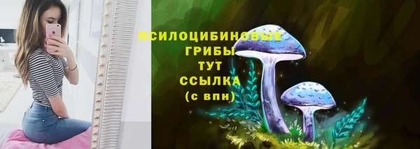 эйфоретик Красноперекопск