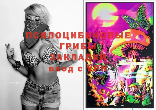 эйфоретик Красноперекопск