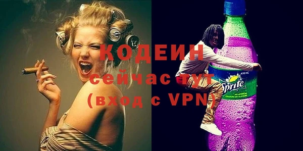 шишки Костерёво