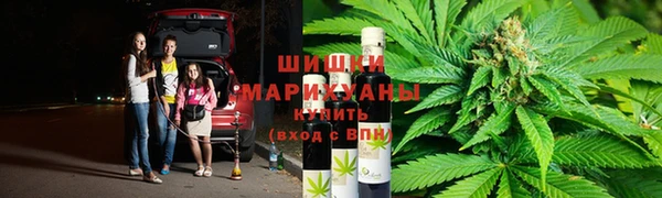 PSILOCYBIN Краснослободск
