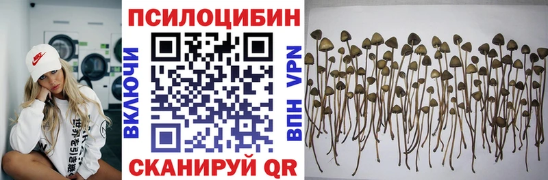 Галлюциногенные грибы Magic Shrooms  Купить закладки  Гвардейск 